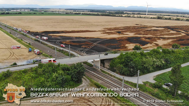 20190705 Feuerwehren aus dem Bezirk Baden untersttzen bei 35 Hektar Getreidefeld in Flammen  Foto:  Stefan Schneider BFK Baden