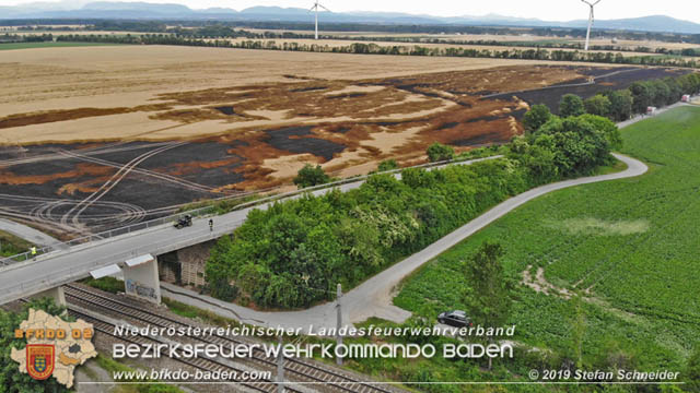 20190705 Feuerwehren aus dem Bezirk Baden untersttzen bei 35 Hektar Getreidefeld in Flammen  Foto:  Stefan Schneider BFK Baden