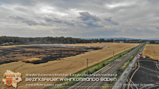20190705 Feuerwehren aus dem Bezirk Baden unterstützen bei 35 Hektar Getreidefeld in Flammen Foto: © Stefan Schneider BFK Baden 20190705 Feuerwehren aus dem Bezirk Baden unterstützen bei 35 Hektar Getreidefeld in Flammen Foto: © Stefan Schneider BFK Baden