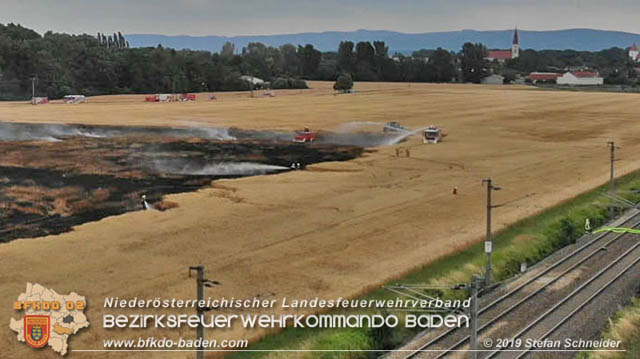 20190705 Feuerwehren aus dem Bezirk Baden untersttzen bei 35 Hektar Getreidefeld in Flammen  Foto:  Stefan Schneider BFK Baden