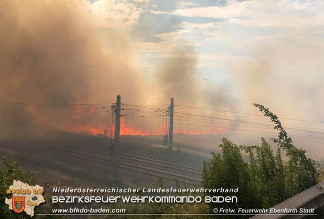 20190705 35 Hektar Getreidefeld zwischen Ebenfurth und Pottendorf in Flammen  Foto:  Freiwillige Feuerwehr Ebenfurth Stadt