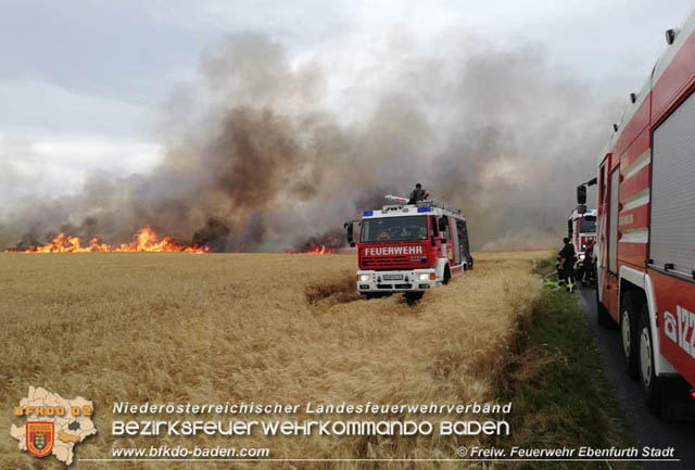 20190705 35 Hektar Getreidefeld zwischen Ebenfurth und Pottendorf in Flammen  Foto:  Freiwillige Feuerwehr Ebenfurth Stadt