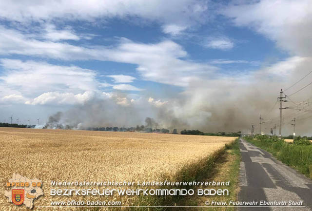 20190705 35 Hektar Getreidefeld zwischen Ebenfurth und Pottendorf in Flammen  Foto:  Freiwillige Feuerwehr Ebenfurth Stadt
