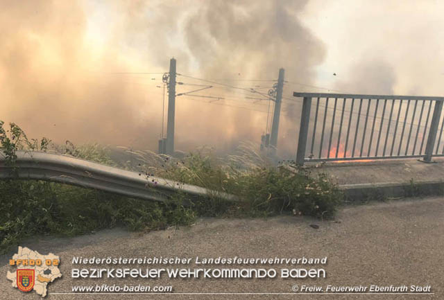 20190705 35 Hektar Getreidefeld zwischen Ebenfurth und Pottendorf in Flammen Foto: © Freiwillige Feuerwehr Ebenfurth Stadt 20190705 35 Hektar Getreidefeld zwischen Ebenfurth und Pottendorf in Flammen Foto: © Freiwillige Feuerwehr Ebenfurth Stadt