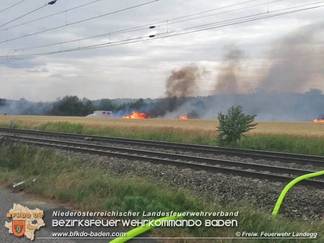 20190705 Feuerwehren aus dem Bezirk Baden untersttzen bei 35 Hektar Getreidefeld in Flammen  Foto:  Freiwillige Feuerwehr Landegg