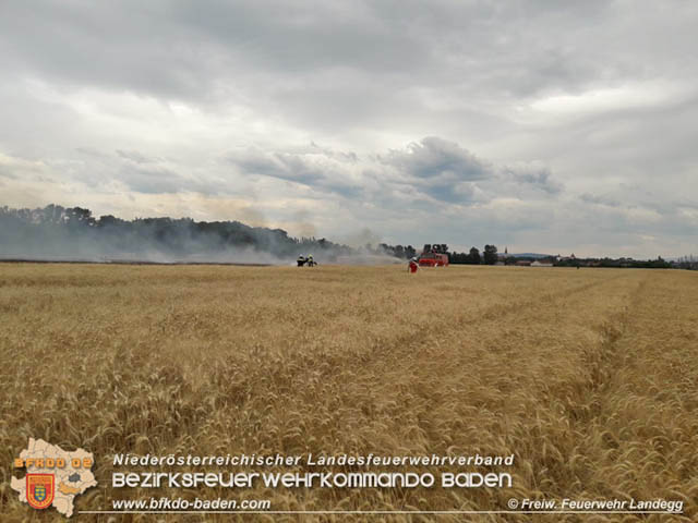 20190705 Feuerwehren aus dem Bezirk Baden untersttzen bei 35 Hektar Getreidefeld in Flammen  Foto:  Freiwillige Feuerwehr Landegg