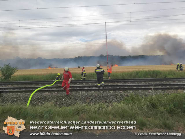 20190705 Feuerwehren aus dem Bezirk Baden untersttzen bei 35 Hektar Getreidefeld in Flammen  Foto:  Freiwillige Feuerwehr Landegg