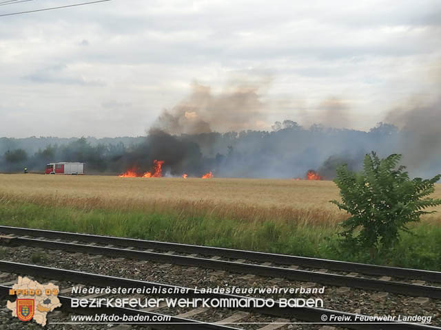 20190705 Feuerwehren aus dem Bezirk Baden untersttzen bei 35 Hektar Getreidefeld in Flammen  Foto:  Freiwillige Feuerwehr Landegg