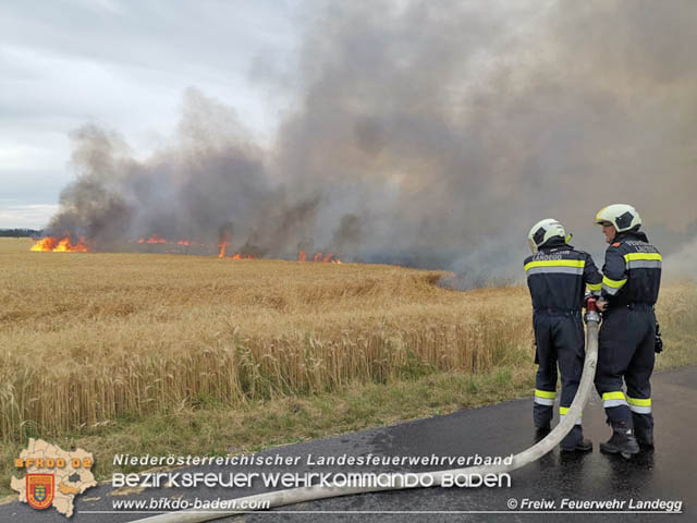 20190705 Feuerwehren aus dem Bezirk Baden untersttzen bei 35 Hektar Getreidefeld in Flammen  Foto:  Freiwillige Feuerwehr Landegg