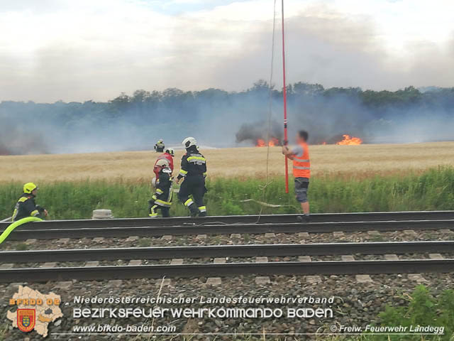 20190705 Feuerwehren aus dem Bezirk Baden untersttzen bei 35 Hektar Getreidefeld in Flammen  Foto:  Freiwillige Feuerwehr Landegg