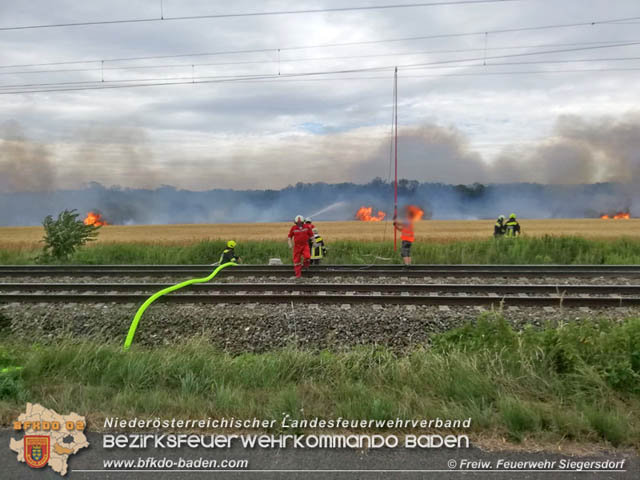 20190705 Feuerwehren aus dem Bezirk Baden unterstützen bei 35 Hektar Getreidefeld in Flammen Foto: © Freiwillige Feuerwehr Siegrersdorf 20190705 Feuerwehren aus dem Bezirk Baden unterstützen bei 35 Hektar Getreidefeld in Flammen Foto: © Freiwillige Feuerwehr Siegrersdorf