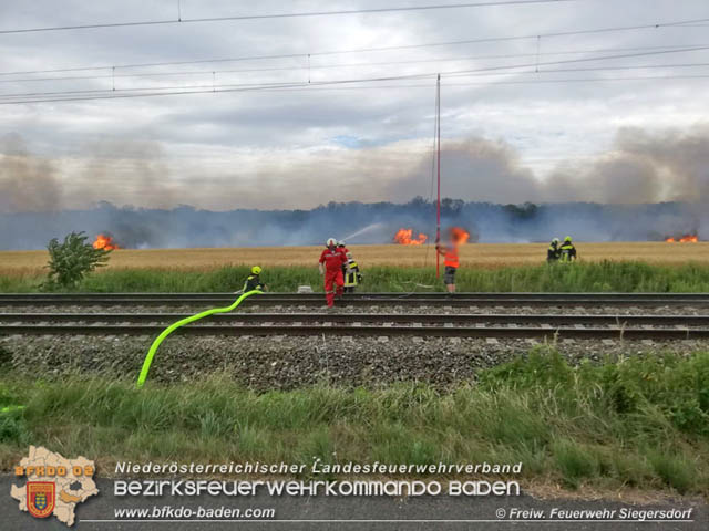 20190705 Feuerwehren aus dem Bezirk Baden untersttzen bei 35 Hektar Getreidefeld in Flammen  Foto:  Freiwillige Feuerwehr Siegrersdorf