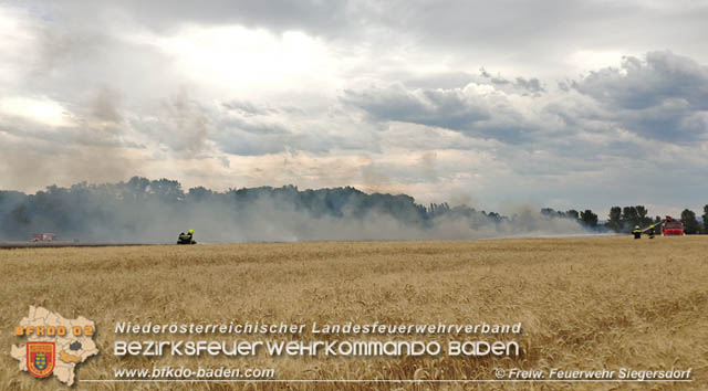 20190705 Feuerwehren aus dem Bezirk Baden unterstützen bei 35 Hektar Getreidefeld in Flammen Foto: © Freiwillige Feuerwehr Siegrersdorf 20190705 Feuerwehren aus dem Bezirk Baden unterstützen bei 35 Hektar Getreidefeld in Flammen Foto: © Freiwillige Feuerwehr Siegrersdorf