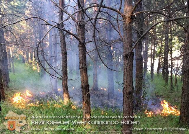 20190706 Entstehender Waldbrand bei Heiligenkreuz noch rechtzeitig entdeckt  Foto:  Freiwillige Feuerwehr Heiligenkreuz