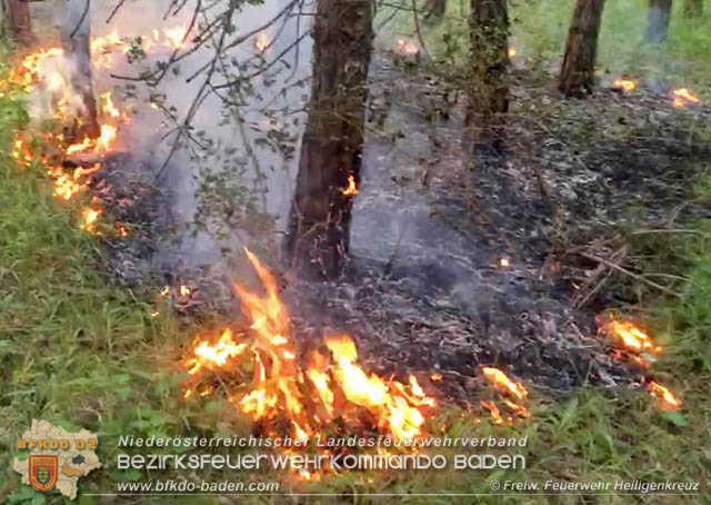 20190706 Entstehender Waldbrand bei Heiligenkreuz noch rechtzeitig entdeckt  Foto:  Freiwillige Feuerwehr Heiligenkreuz