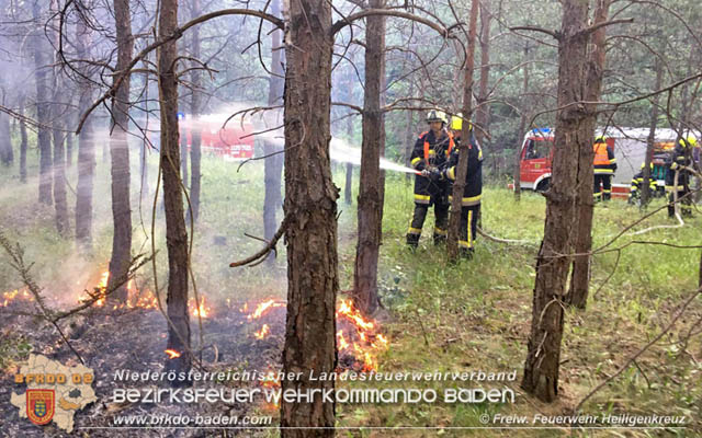 20190706 Entstehender Waldbrand bei Heiligenkreuz noch rechtzeitig entdeckt  Foto:  Freiwillige Feuerwehr Heiligenkreuz