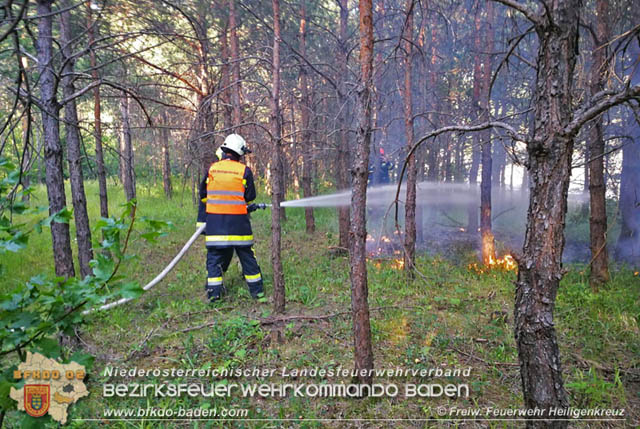 20190706 Entstehender Waldbrand bei Heiligenkreuz noch rechtzeitig entdeckt  Foto:  Freiwillige Feuerwehr Heiligenkreuz