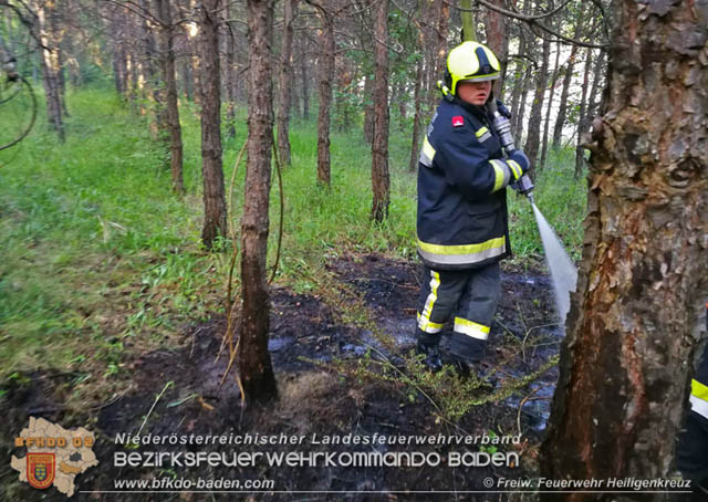 20190706 Entstehender Waldbrand bei Heiligenkreuz noch rechtzeitig entdeckt  Foto:  Freiwillige Feuerwehr Heiligenkreuz