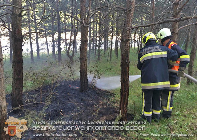 20190706 Entstehender Waldbrand bei Heiligenkreuz noch rechtzeitig entdeckt  Foto:  Freiwillige Feuerwehr Heiligenkreuz