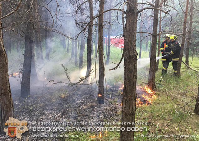 20190706 Entstehender Waldbrand bei Heiligenkreuz noch rechtzeitig entdeckt  Foto:  Freiwillige Feuerwehr Heiligenkreuz