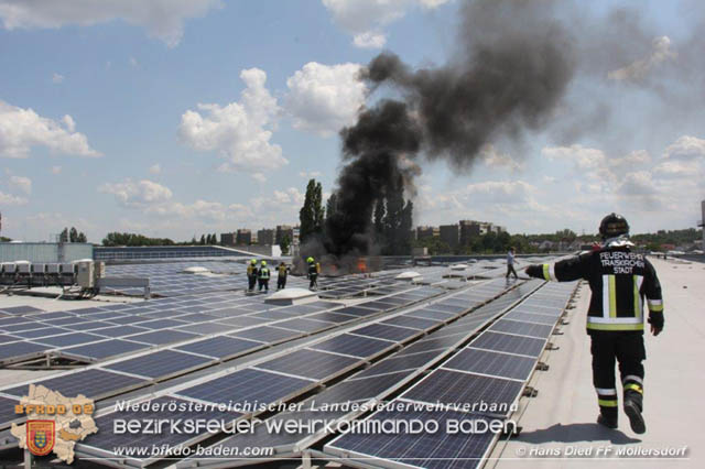 20190715 Brand mehrerer Photovoltaikpaneele am Dach einer Halle im Gewerbepark-Traiskirchen  Foto:  Hans Dietl FF Mllersdorf 