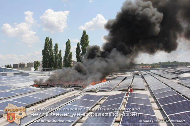 20190715 Brand mehrerer Photovoltaikpaneele am Dach einer Halle im Gewerbepark-Traiskirchen  Foto:  Hans Dietl FF Mllersdorf 