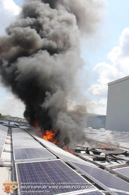 20190715 Brand mehrerer Photovoltaikpaneele am Dach einer Halle im Gewerbepark-Traiskirchen  Foto:  Hans Dietl FF Mllersdorf 