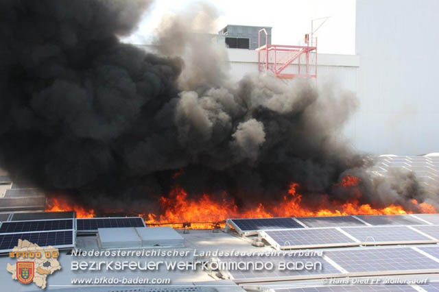 20190715 Brand mehrerer Photovoltaikpaneele am Dach einer Halle im Gewerbepark-Traiskirchen  Foto:  Hans Dietl FF Mllersdorf 