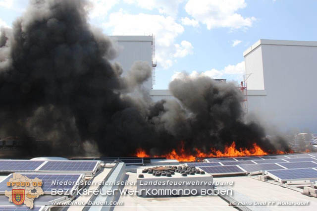 20190715 Brand mehrerer Photovoltaikpaneele am Dach einer Halle im Gewerbepark-Traiskirchen  Foto:  Hans Dietl FF Mllersdorf 