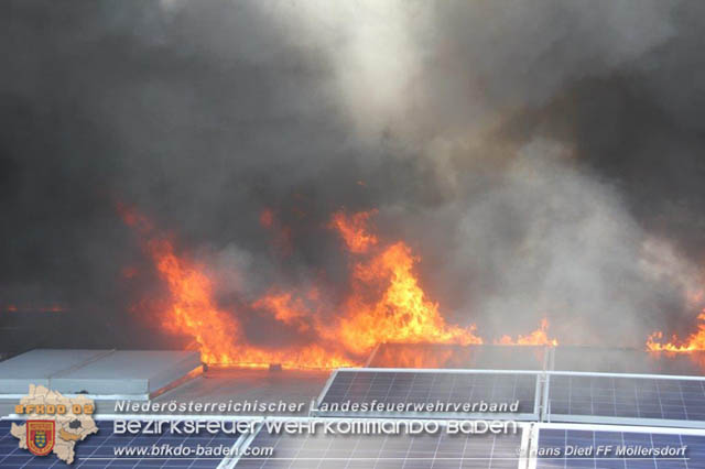 20190715 Brand mehrerer Photovoltaikpaneele am Dach einer Halle im Gewerbepark-Traiskirchen  Foto:  Hans Dietl FF Mllersdorf 