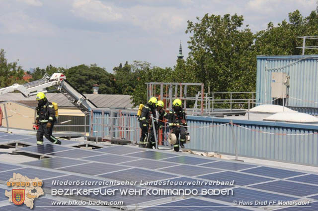 20190715 Brand mehrerer Photovoltaikpaneele am Dach einer Halle im Gewerbepark-Traiskirchen  Foto:  Hans Dietl FF Mllersdorf 