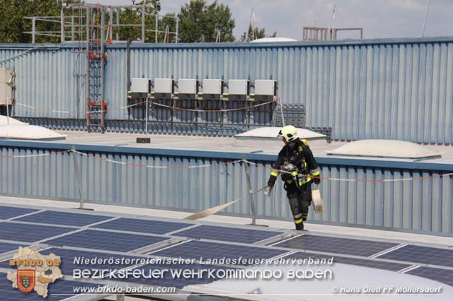 20190715 Brand mehrerer Photovoltaikpaneele am Dach einer Halle im Gewerbepark-Traiskirchen  Foto:  Hans Dietl FF Mllersdorf 