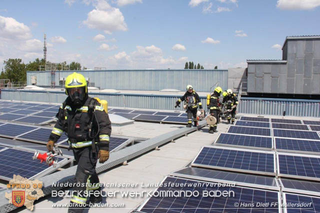 20190715 Brand mehrerer Photovoltaikpaneele am Dach einer Halle im Gewerbepark-Traiskirchen  Foto:  Hans Dietl FF Mllersdorf 