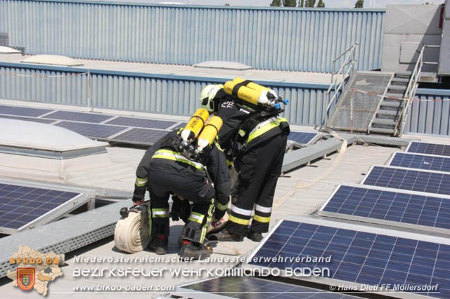 20190715 Brand mehrerer Photovoltaikpaneele am Dach einer Halle im Gewerbepark-Traiskirchen  Foto:  Hans Dietl FF Mllersdorf 