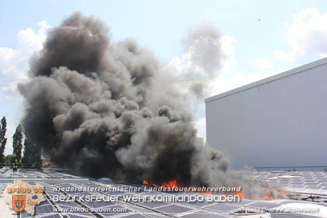 20190715 Brand mehrerer Photovoltaikpaneele am Dach einer Halle im Gewerbepark-Traiskirchen  Foto:  Hans Dietl FF Mllersdorf 