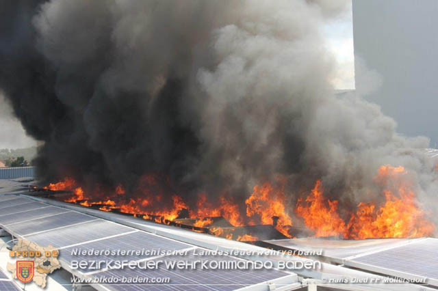 20190715 Brand mehrerer Photovoltaikpaneele am Dach einer Halle im Gewerbepark-Traiskirchen  Foto:  Hans Dietl FF Mllersdorf 