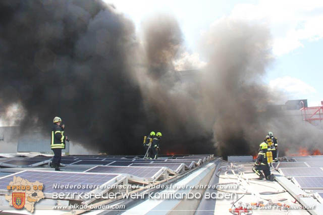 20190715 Brand mehrerer Photovoltaikpaneele am Dach einer Halle im Gewerbepark-Traiskirchen  Foto:  Hans Dietl FF Mllersdorf 