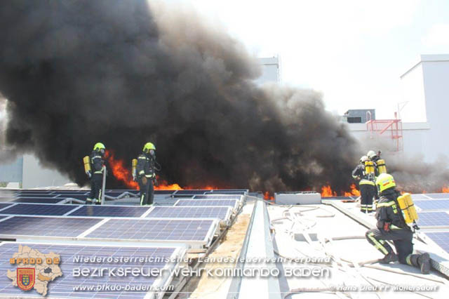 20190715 Brand mehrerer Photovoltaikpaneele am Dach einer Halle im Gewerbepark-Traiskirchen  Foto:  Hans Dietl FF Mllersdorf 