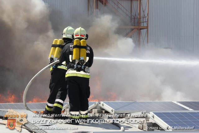 20190715 Brand mehrerer Photovoltaikpaneele am Dach einer Halle im Gewerbepark-Traiskirchen  Foto:  Hans Dietl FF Mllersdorf 