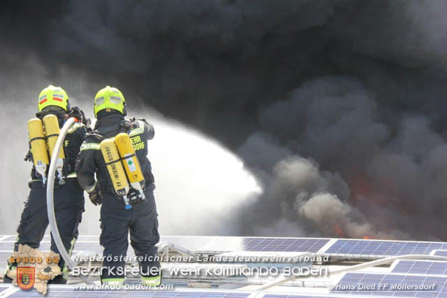 20190715 Brand mehrerer Photovoltaikpaneele am Dach einer Halle im Gewerbepark-Traiskirchen  Foto:  Hans Dietl FF Mllersdorf 