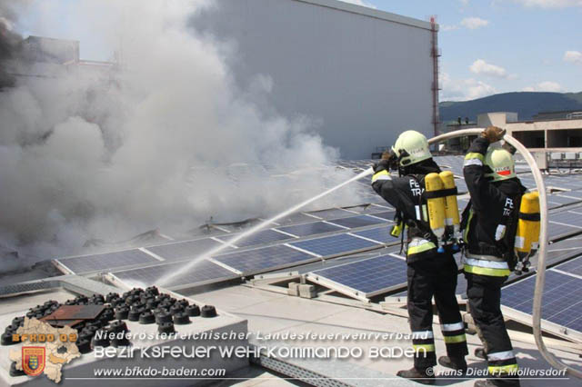 20190715 Brand mehrerer Photovoltaikpaneele am Dach einer Halle im Gewerbepark-Traiskirchen  Foto:  Hans Dietl FF Mllersdorf 