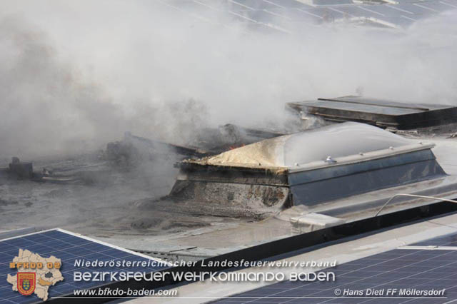 20190715 Brand mehrerer Photovoltaikpaneele am Dach einer Halle im Gewerbepark-Traiskirchen  Foto:  Hans Dietl FF Mllersdorf 