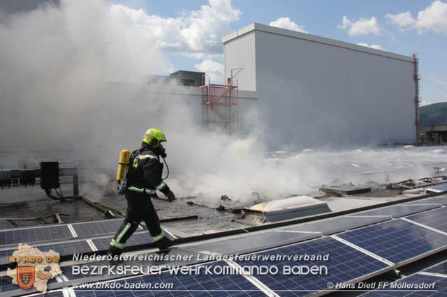 20190715 Brand mehrerer Photovoltaikpaneele am Dach einer Halle im Gewerbepark-Traiskirchen  Foto:  Hans Dietl FF Mllersdorf 