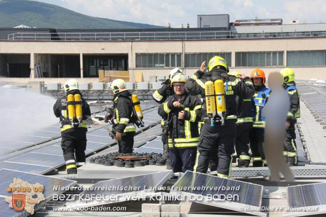 20190715 Brand mehrerer Photovoltaikpaneele am Dach einer Halle im Gewerbepark-Traiskirchen  Foto:  Hans Dietl FF Mllersdorf 