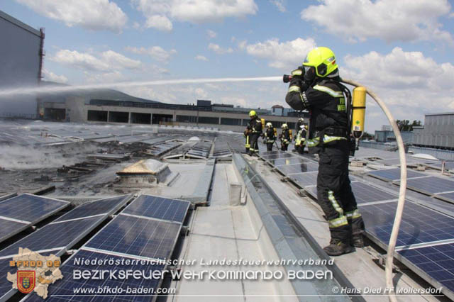 20190715 Brand mehrerer Photovoltaikpaneele am Dach einer Halle im Gewerbepark-Traiskirchen  Foto:  Hans Dietl FF Mllersdorf 