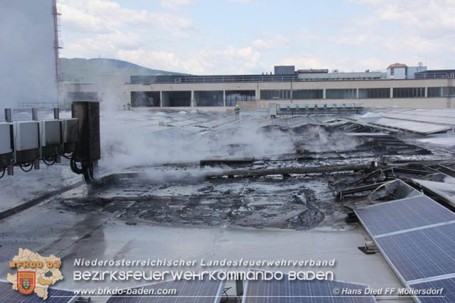 20190715 Brand mehrerer Photovoltaikpaneele am Dach einer Halle im Gewerbepark-Traiskirchen  Foto:  Hans Dietl FF Mllersdorf 