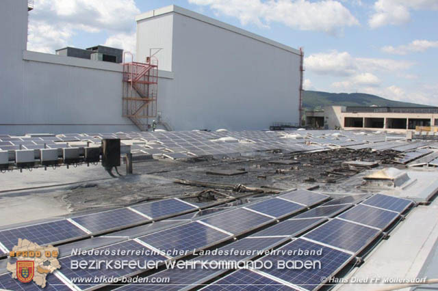 20190715 Brand mehrerer Photovoltaikpaneele am Dach einer Halle im Gewerbepark-Traiskirchen  Foto:  Hans Dietl FF Mllersdorf 