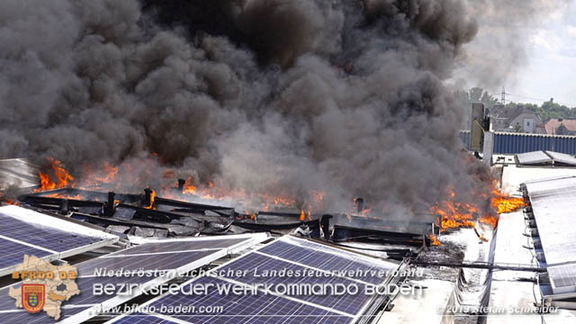 20190715 Brand mehrerer Photovoltaikpaneele am Dach einer Halle im Gewerbepark-Traiskirchen  Foto:  Stefan Schneider BFK Baden