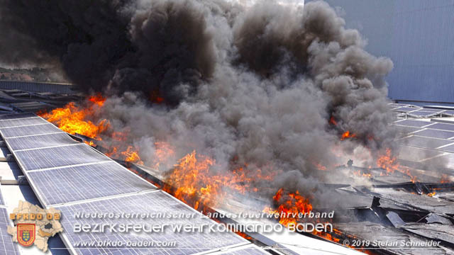 20190715 Brand mehrerer Photovoltaikpaneele am Dach einer Halle im Gewerbepark-Traiskirchen Foto: © Stefan Schneider BFK Baden 20190715 Brand mehrerer Photovoltaikpaneele am Dach einer Halle im Gewerbepark-Traiskirchen Foto: © Stefan Schneider BFK Baden