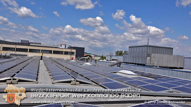 20190715 Brand mehrerer Photovoltaikpaneele am Dach einer Halle im Gewerbepark-Traiskirchen  Foto:  Stefan Schneider BFK Baden